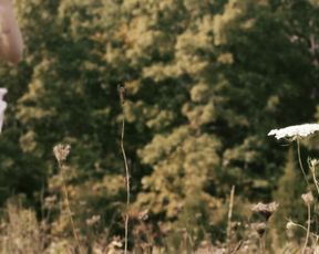 Lucretia Lynn - Harvest Lake(2016)