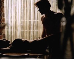 Deborah Kara Unger nude – Stander (2003)