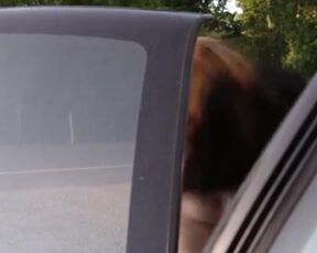 Lauren Schneider Topless In Creature - Film nackt