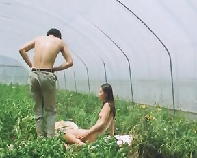 Doona Bae & Other - Plum Blossom (2000) hottest movie sex scenes