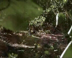 Debi Sue Voorhees nude sex in cinema mainstream