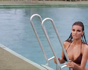 Raquel Welch nudes - Lady in Cement (1968)