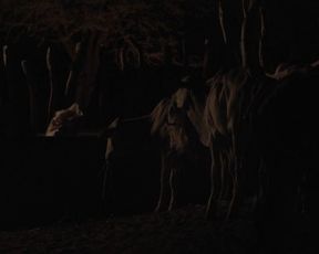 Maeve Jinkings nude – Boi neon (2015)