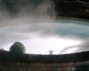 Krysten Ritter sexy, Chelsea Schuchman nude – Asthma (2014)