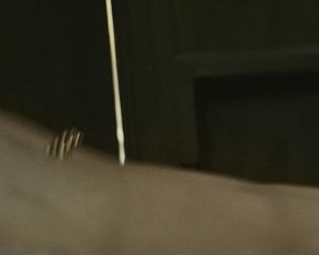 Claire Forlani nude, Ruth Milne nude – Hallam Foe (2007)