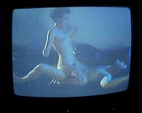 Lisa Zane nude, Adrienne Leigh nude, Charisse Glenn nude, Palmer Lee Todd nude – Bad Influence (1990)