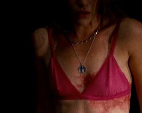 Emily VanCamp sexy, Piper Perabo sexy – Carriers (2009)