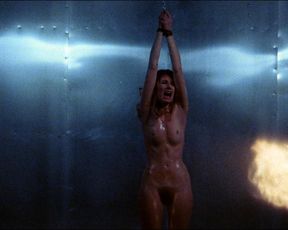Johanna Brushay nude – Don’t Go In The House (1980)