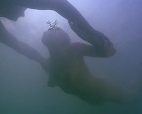 Kate Winslet nude – Iris (2001)